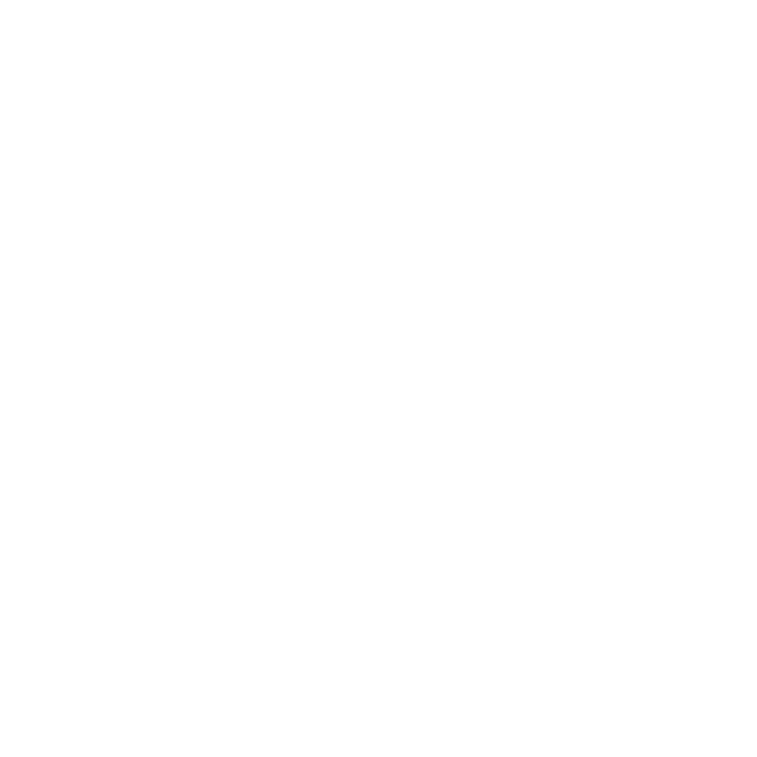 Steel dalal Logo
