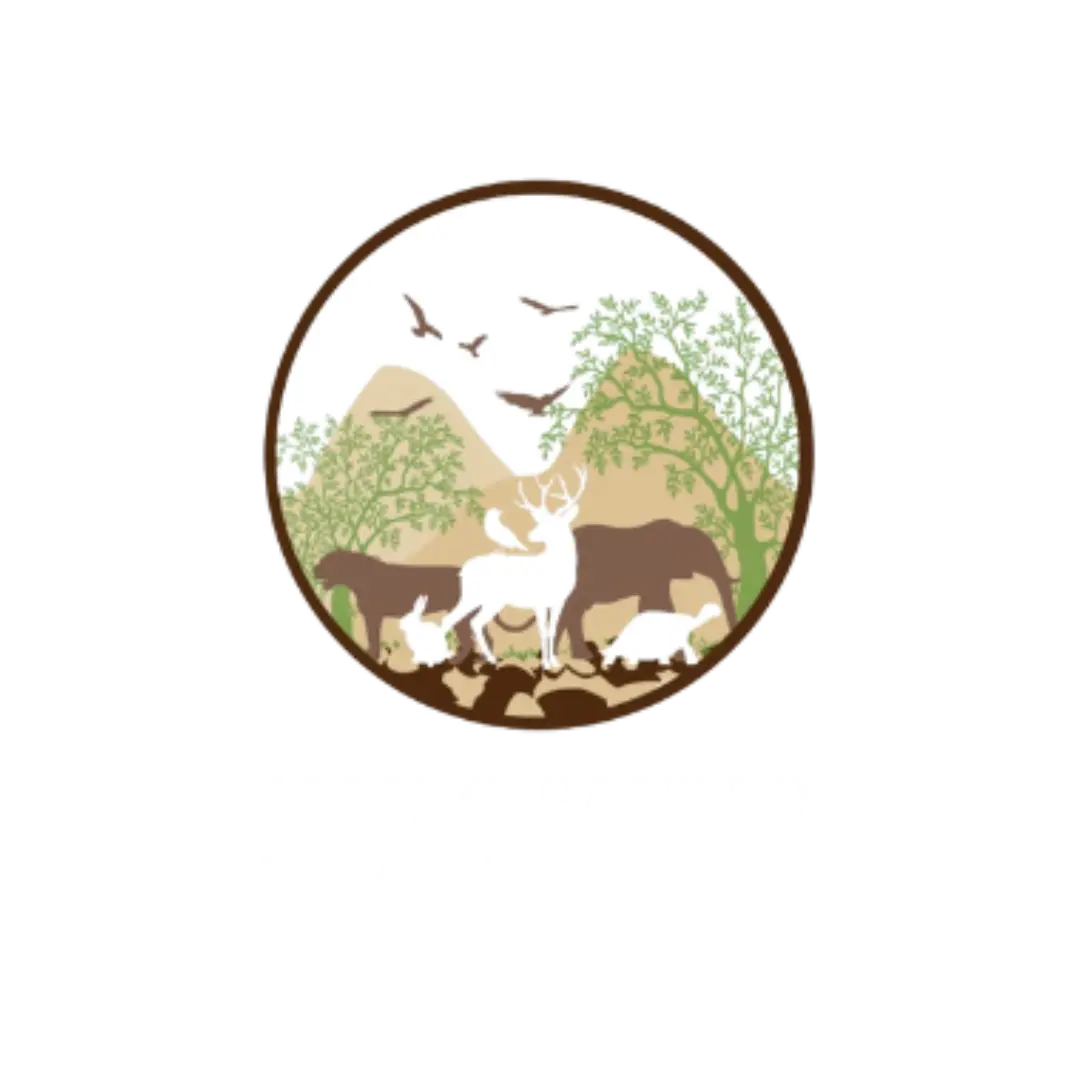 Manosansar Logo