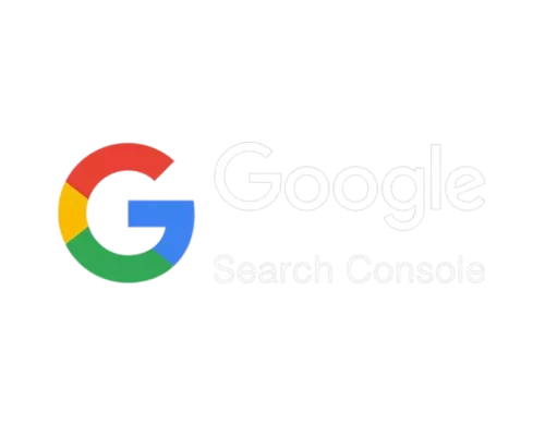 Google search cansole logo