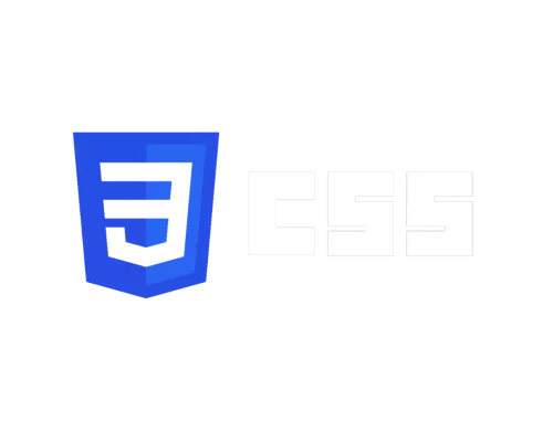 CSS Logo